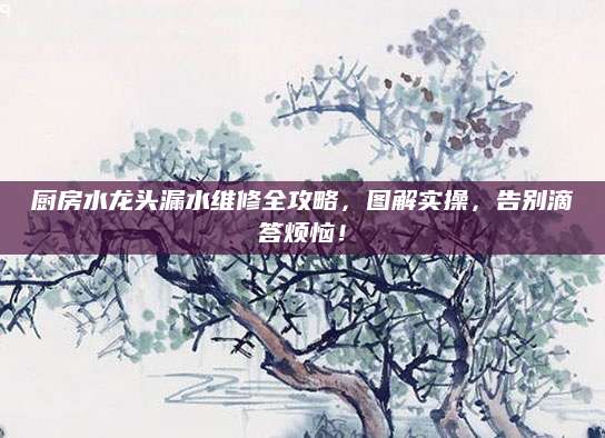 厨房水龙头漏水维修全攻略，图解实操，告别滴答烦恼！