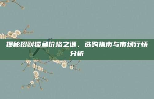 揭秘招财猫鱼价格之谜，选购指南与市场行情分析