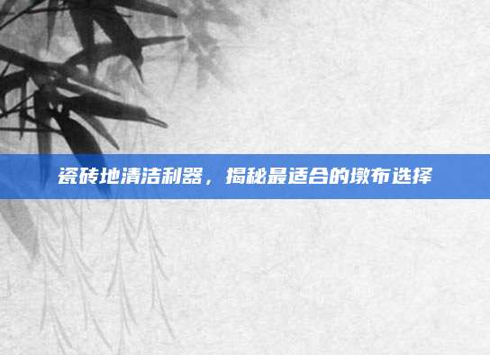 瓷砖地清洁利器，揭秘最适合的墩布选择