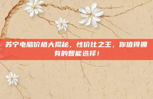 苏宁电脑价格大揭秘，性价比之王，你值得拥有的智能选择！